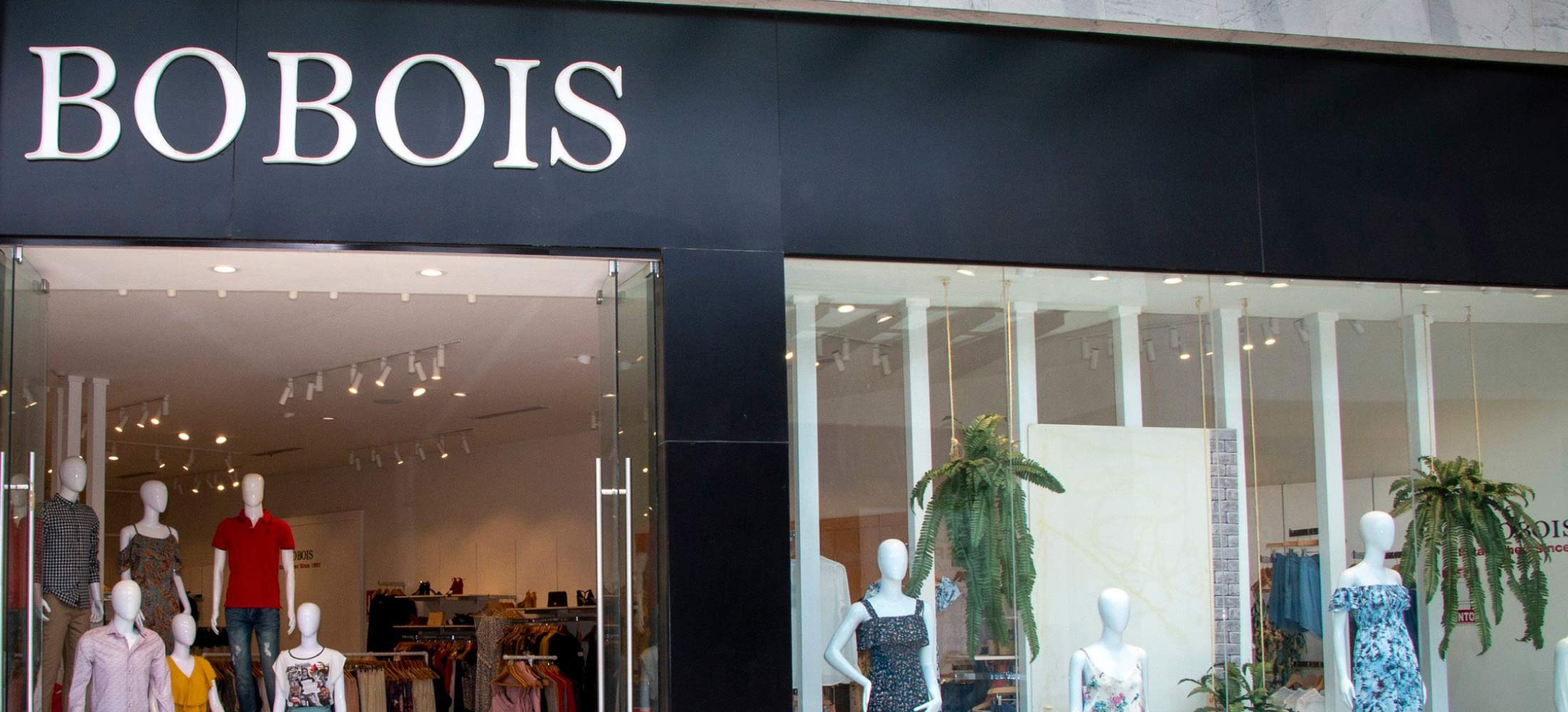 Local-banner