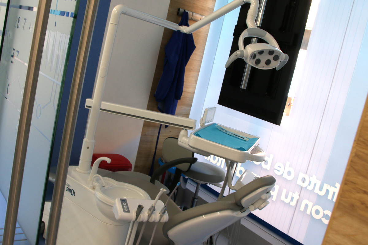 Galería 2 De Dentalia