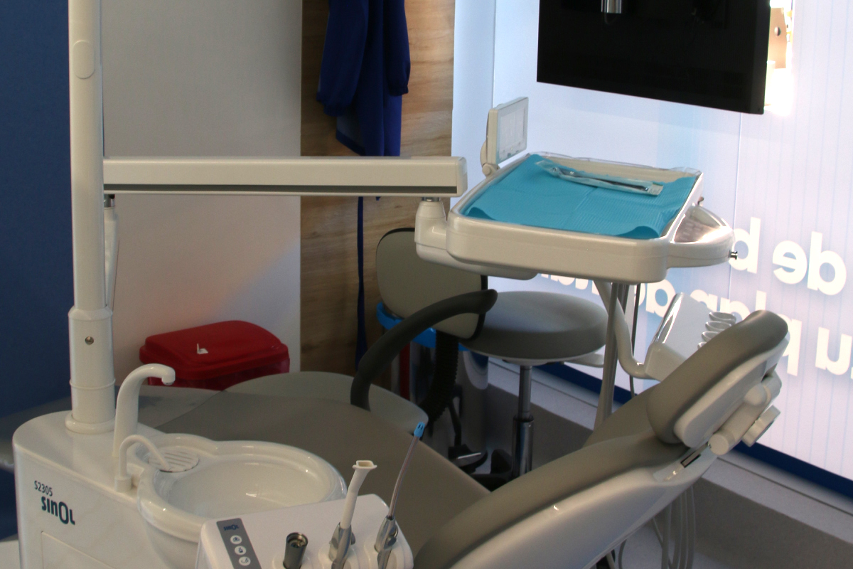 Galería 4 De Dentalia