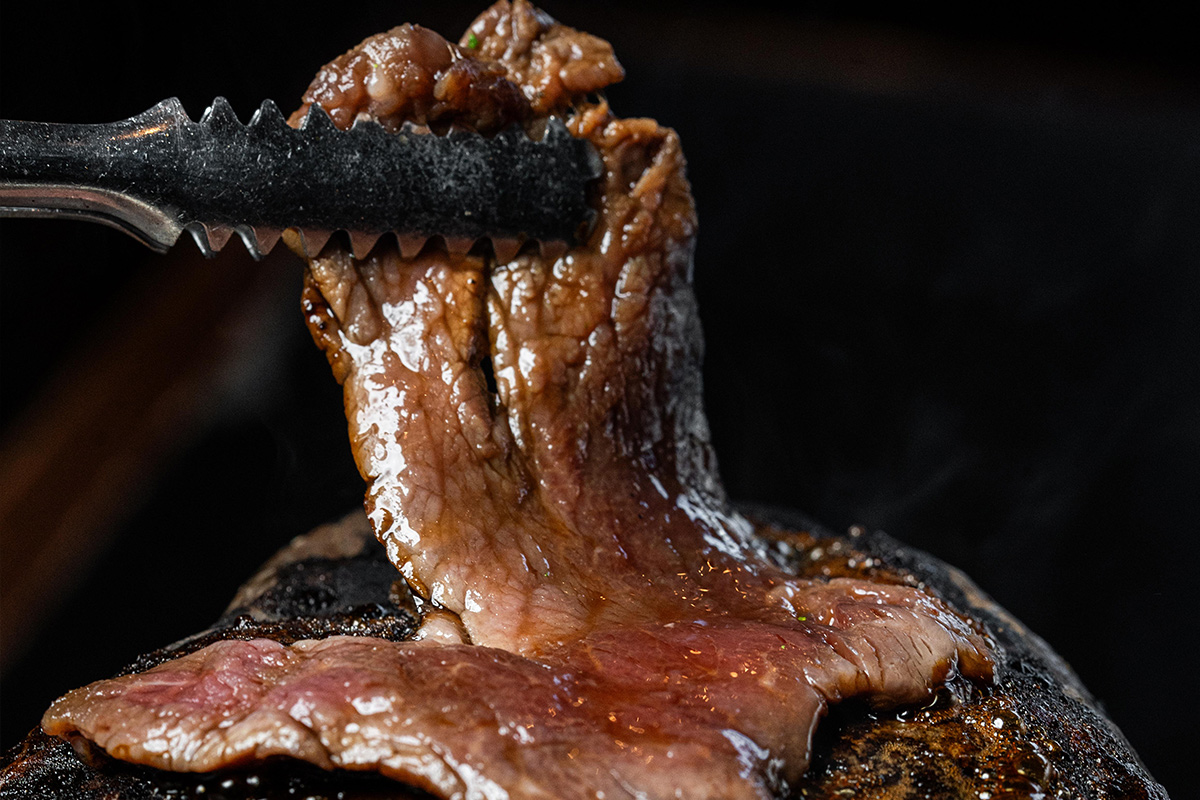 Galería 1 De Mochomos