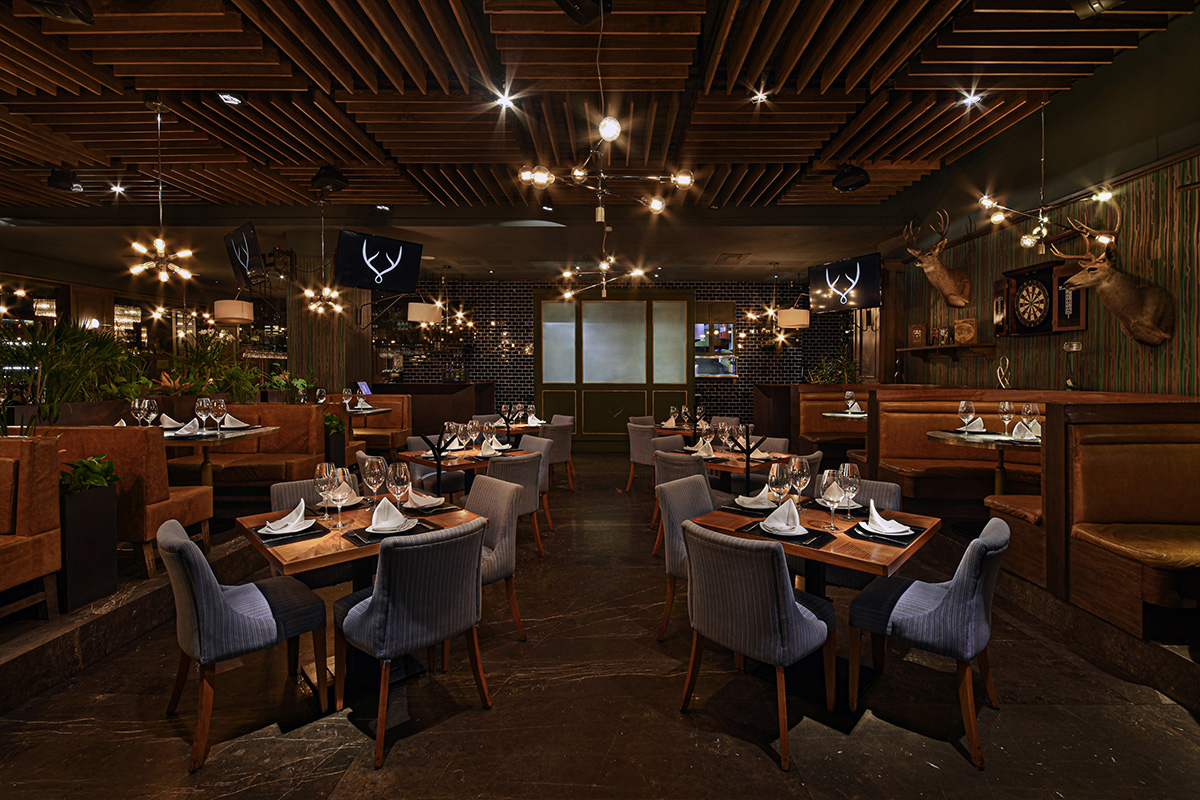 Galería 2 De Mochomos