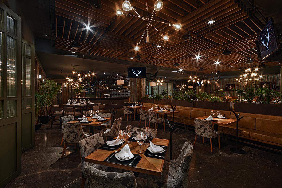 Galería 3 De Mochomos