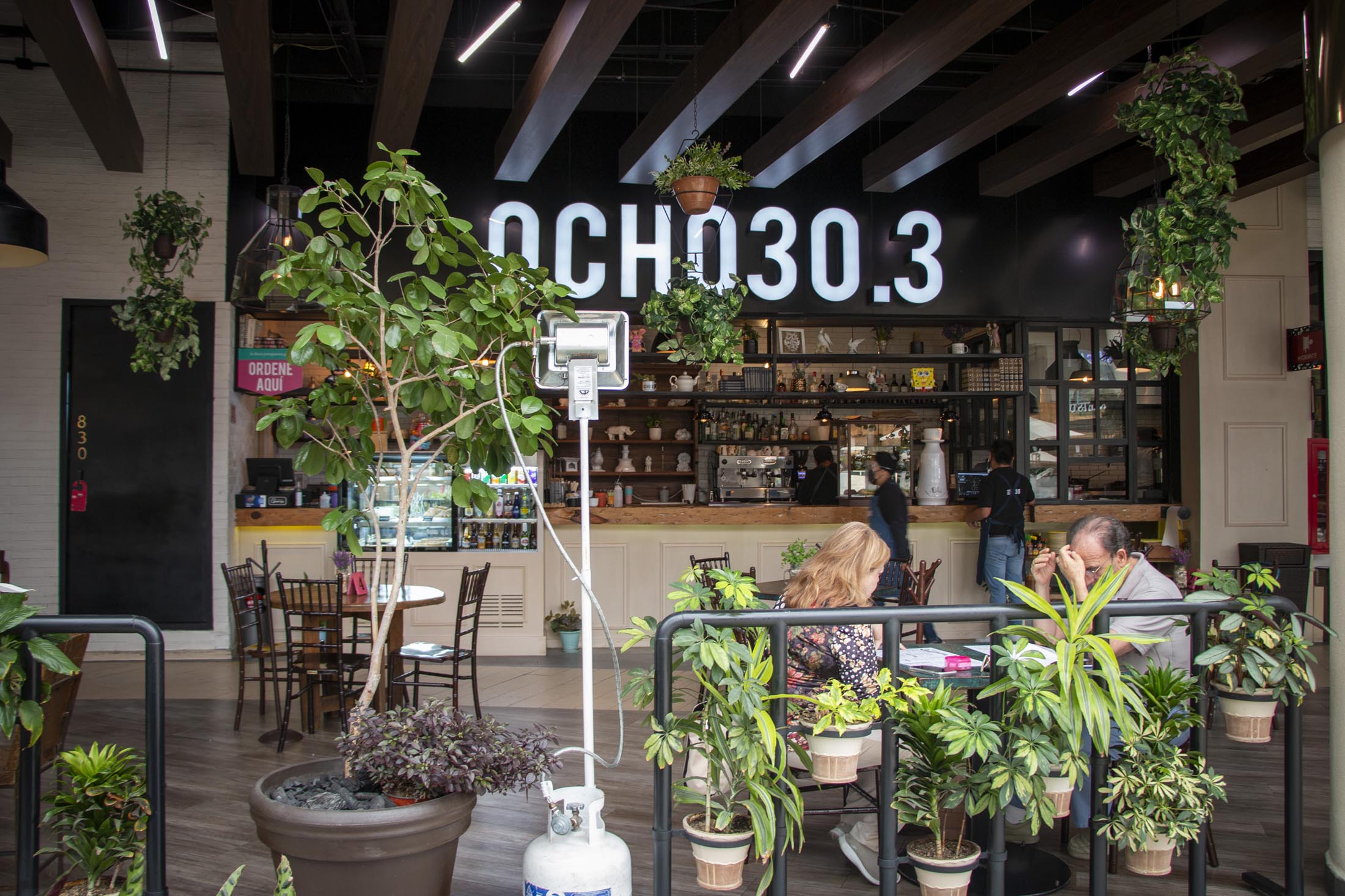 Galería 2 De Ocho30