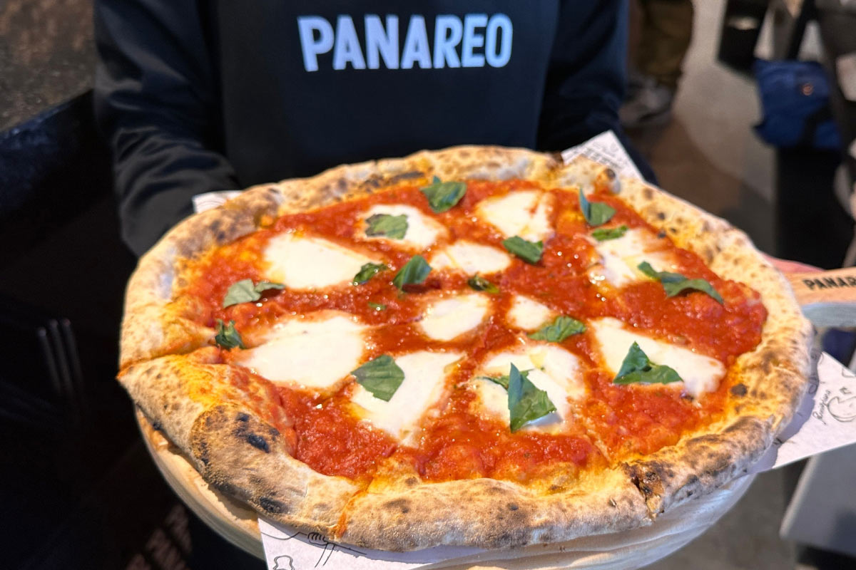 Galería 1 De Panareo