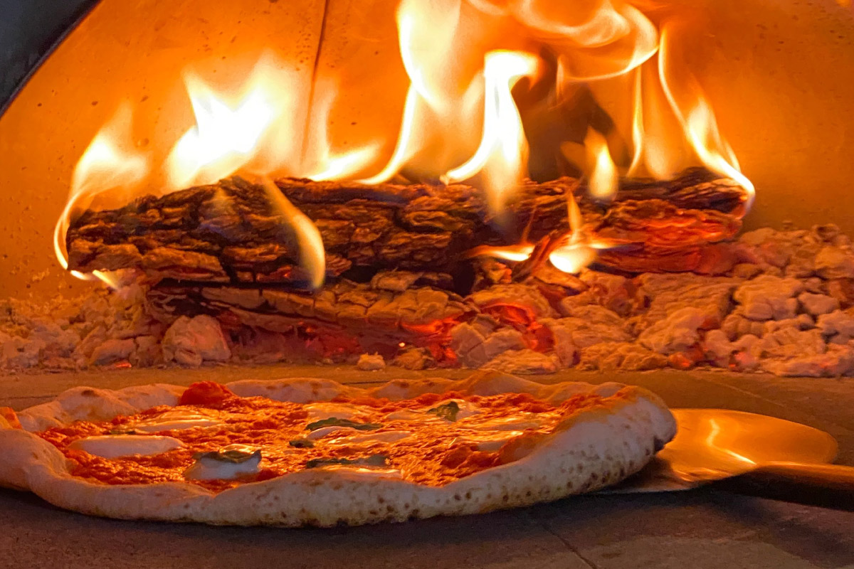 Galería 4 De Panareo